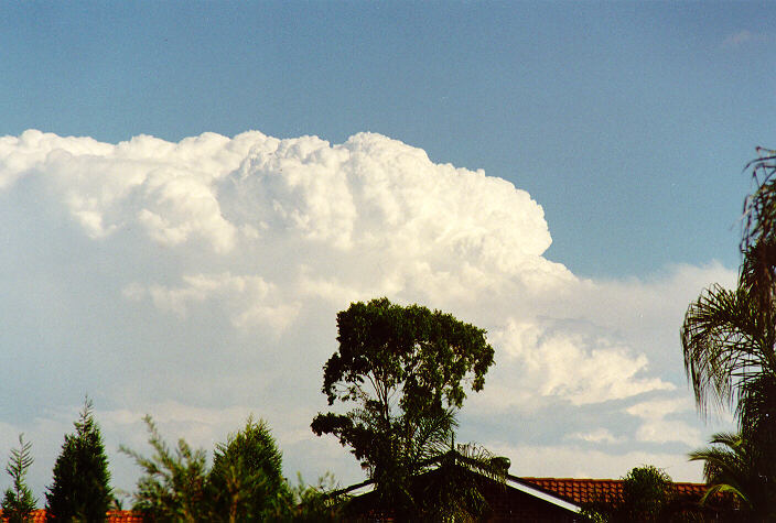 thunderstorm cumulonimbus_incus : Oakhurst, NSW   23 March 1997