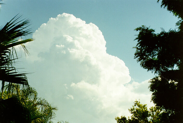 updraft thunderstorm_updrafts : Oakhurst, NSW   23 March 1997