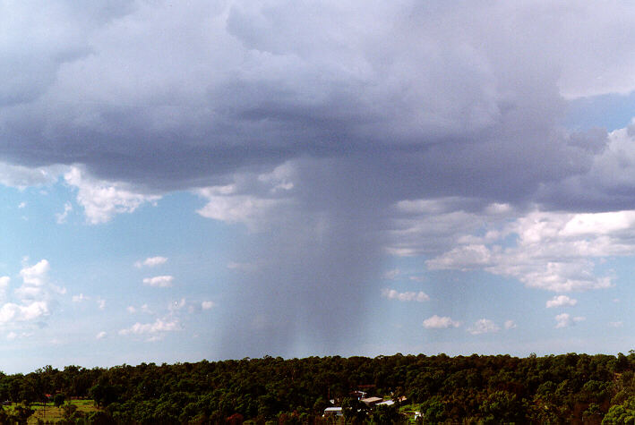 raincascade precipitation_cascade : Schofields, NSW   28 March 1997