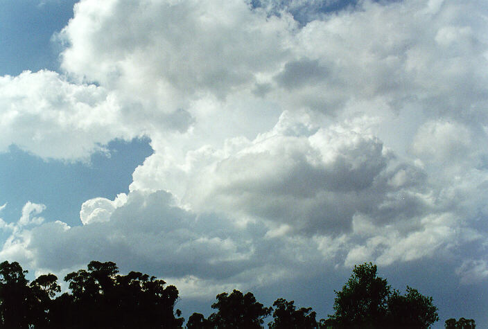 thunderstorm cumulonimbus_incus : Oakhurst, NSW   30 March 1997