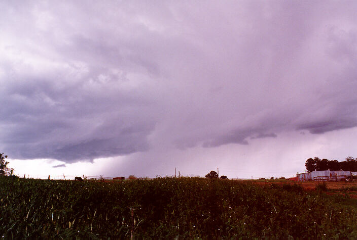 cumulonimbus thunderstorm_base : Schofields, NSW   20 September 1997