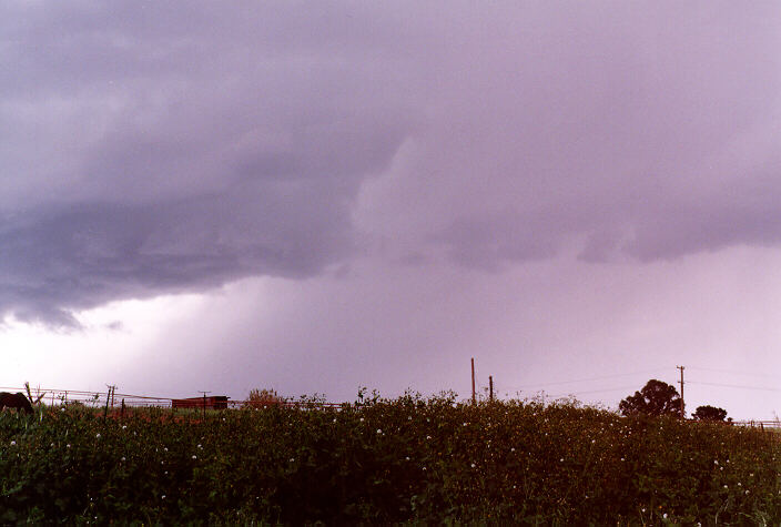 cumulonimbus thunderstorm_base : Schofields, NSW   20 September 1997