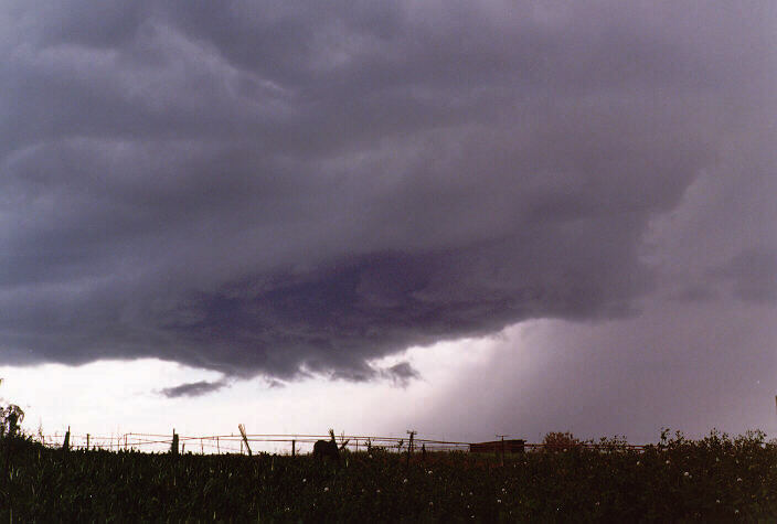 raincascade precipitation_cascade : Schofields, NSW   20 September 1997