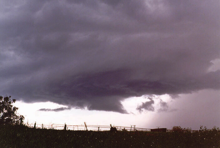 raincascade precipitation_cascade : Schofields, NSW   20 September 1997