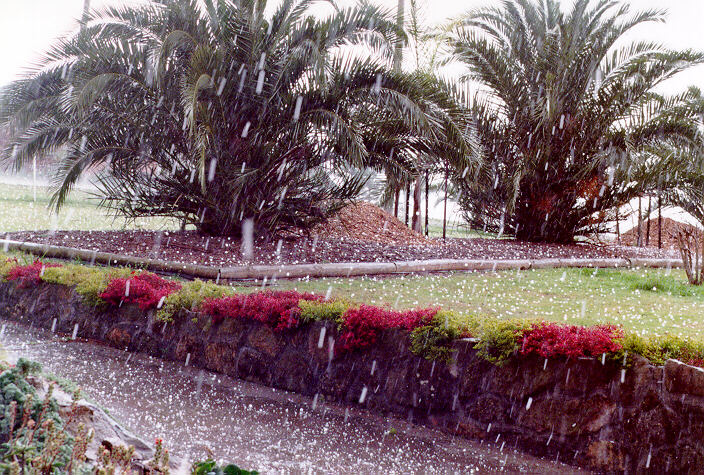 hailstones hail_stones : Schofields, NSW   20 September 1997