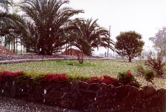 hailstones hail_stones : Schofields, NSW   20 September 1997