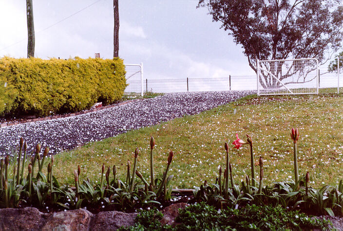 hailstones hail_stones : Schofields, NSW   20 September 1997