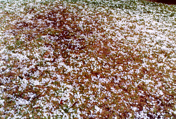 hailstones hail_stones : Schofields, NSW   20 September 1997