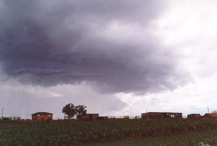 cumulonimbus thunderstorm_base : Schofields, NSW   20 September 1997