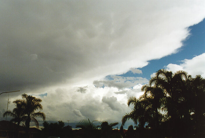 cumulus congestus : Oakhurst, NSW   20 September 1997