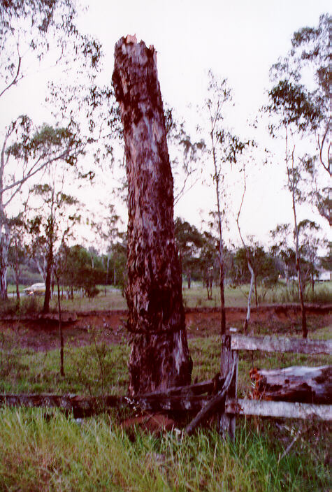 disasters storm_damage : Riverstone, NSW   30 October 1997