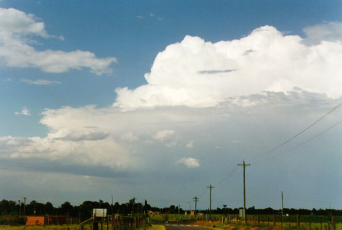 thunderstorm cumulonimbus_calvus : Richmond, NSW   7 November 1997