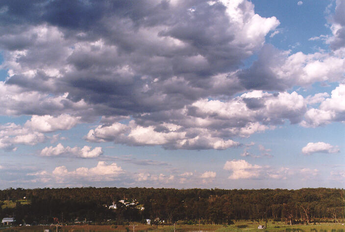 cumulus congestus : Schofields, NSW   11 November 1997