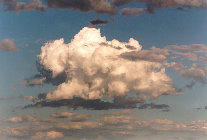 cumulus mediocris : Schofields, NSW   11 November 1997