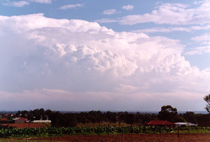 thunderstorm cumulonimbus_incus : Schofields, NSW   15 November 1997