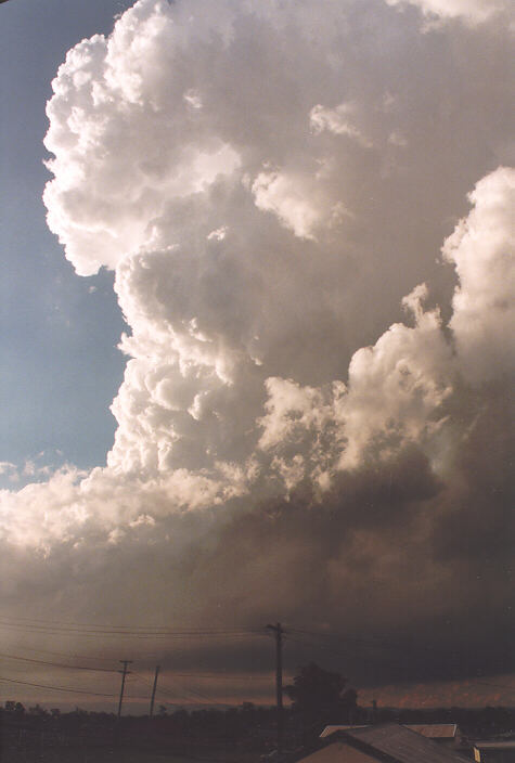 favourites jimmy_deguara : Schofields, NSW   15 November 1997