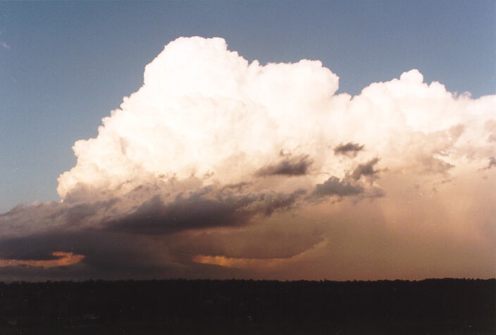 raincascade precipitation_cascade : Schofields, NSW   15 November 1997