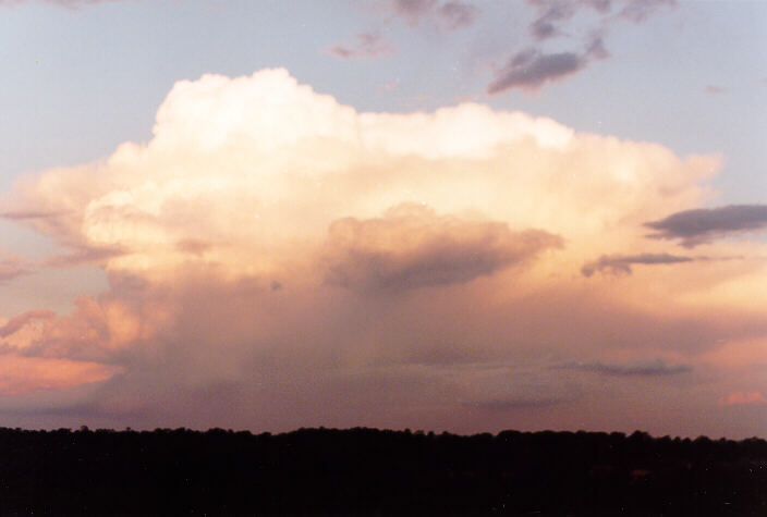 thunderstorm cumulonimbus_calvus : Schofields, NSW   15 November 1997