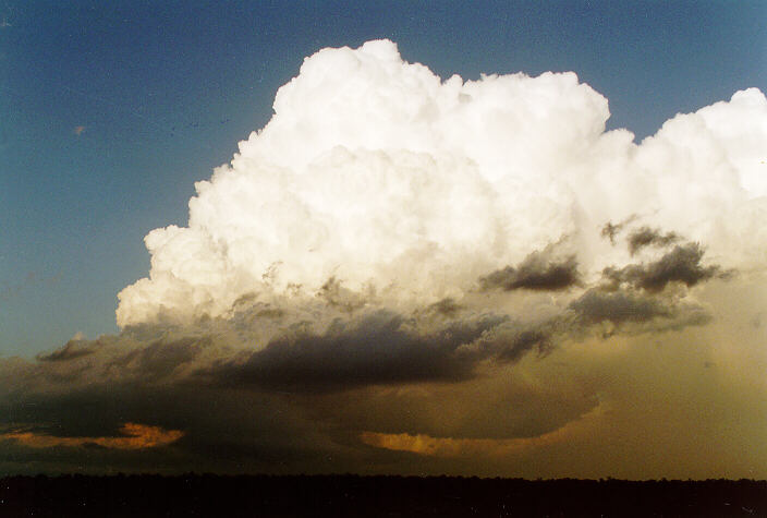 thunderstorm cumulonimbus_calvus : Schofields, NSW   15 November 1997