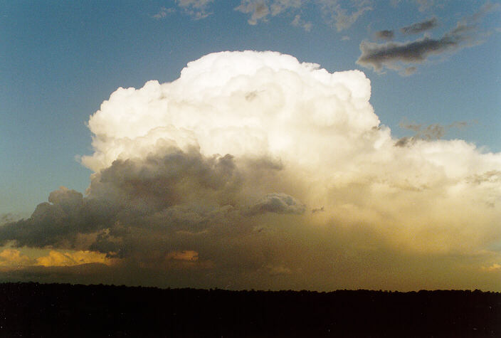 thunderstorm cumulonimbus_calvus : Schofields, NSW   15 November 1997