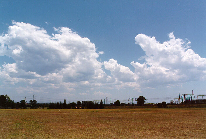 cumulus mediocris : St Marys, NSW   26 November 1997