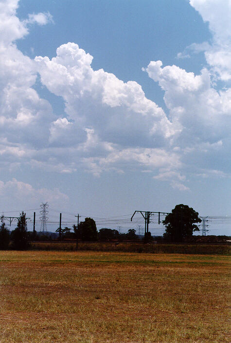 cumulus mediocris : St Marys, NSW   26 November 1997