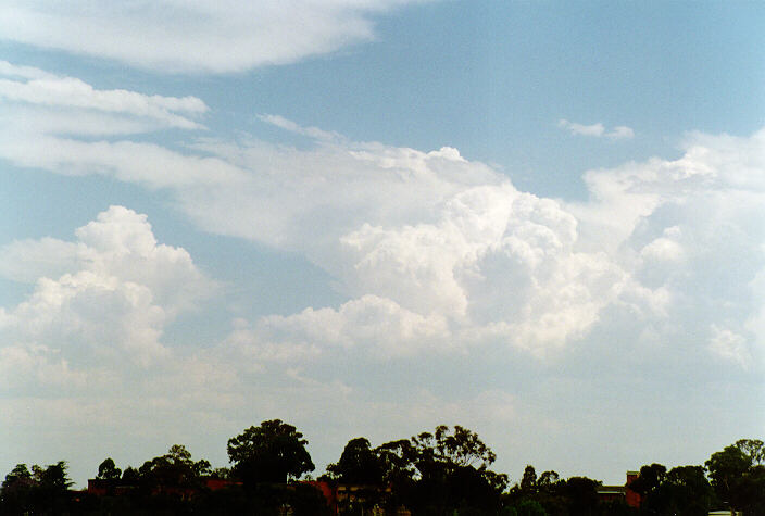 cumulus congestus : Rooty Hill, NSW   26 November 1997