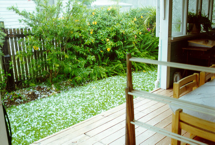 hailstones hail_stones : Ballina, NSW   30 November 1997