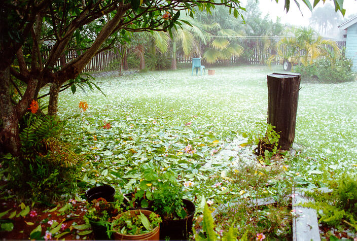 hailstones hail_stones : Ballina, NSW   30 November 1997