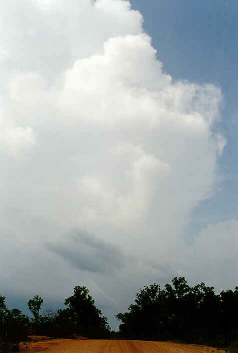 thunderstorm cumulonimbus_incus : Litchfield Park, NT   1 December 1997