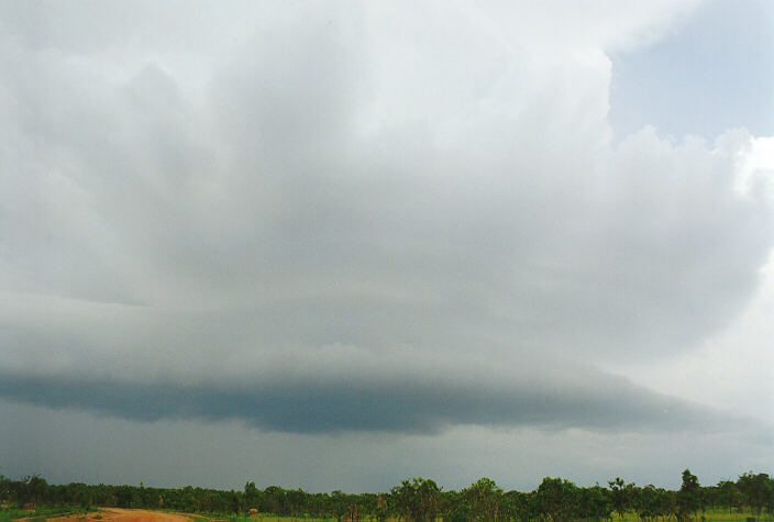 thunderstorm cumulonimbus_incus : Litchfield Park, NT   1 December 1997