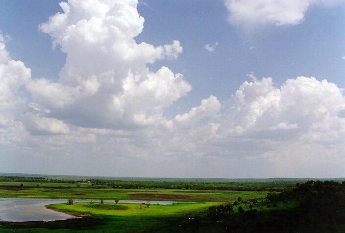 cumulus mediocris : near Humpty Doo, NT   2 December 1997