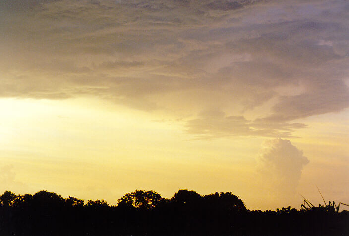 sunset sunset_pictures : Fogg Dam, NT   2 December 1997