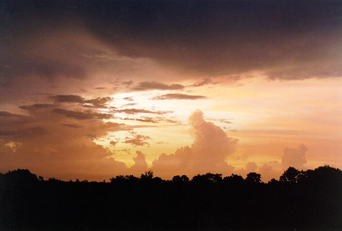 sunset sunset_pictures : Fogg Dam, NT   2 December 1997