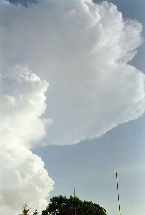 thunderstorm cumulonimbus_incus : Darwin, NT   5 December 1997