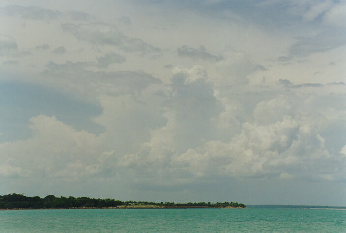 cumulus congestus : Darwin, NT   6 December 1997