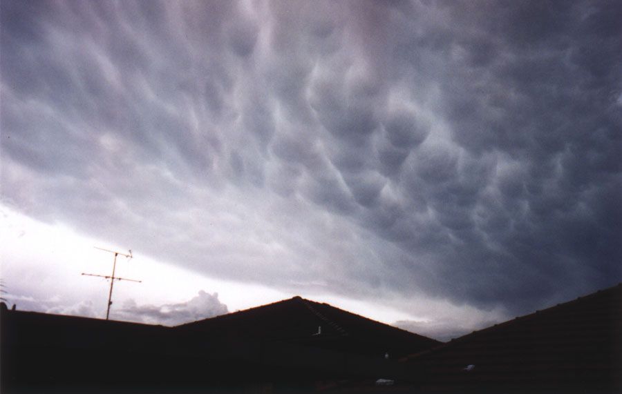 mammatus mammatus_cloud : Padstow, NSW   19 December 1997