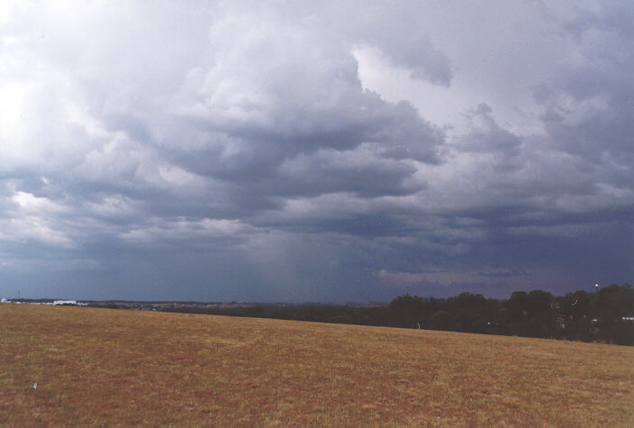 cumulus congestus : Rooty Hill, NSW   19 December 1997