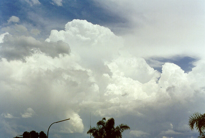 thunderstorm cumulonimbus_calvus : Oakhurst, NSW   19 December 1997