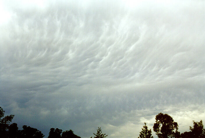 mammatus mammatus_cloud : Oakhurst, NSW   19 December 1997