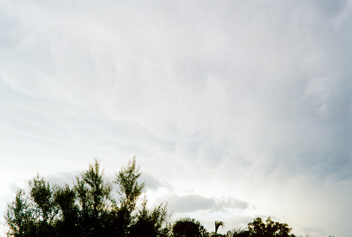 mammatus mammatus_cloud : Oakhurst, NSW   19 December 1997