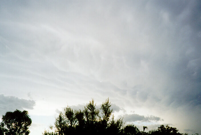 mammatus mammatus_cloud : Oakhurst, NSW   19 December 1997