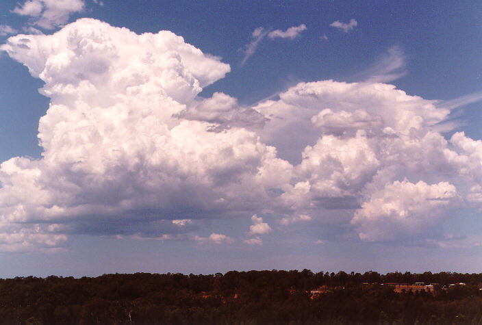 thunderstorm cumulonimbus_incus : Schofields, NSW   21 December 1997