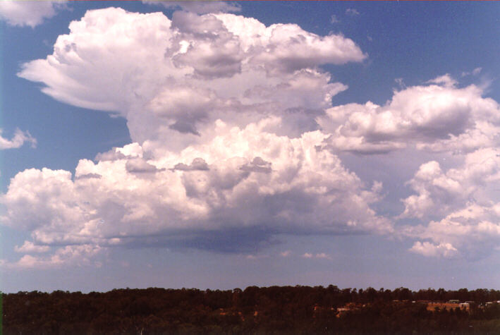 thunderstorm cumulonimbus_incus : Schofields, NSW   21 December 1997