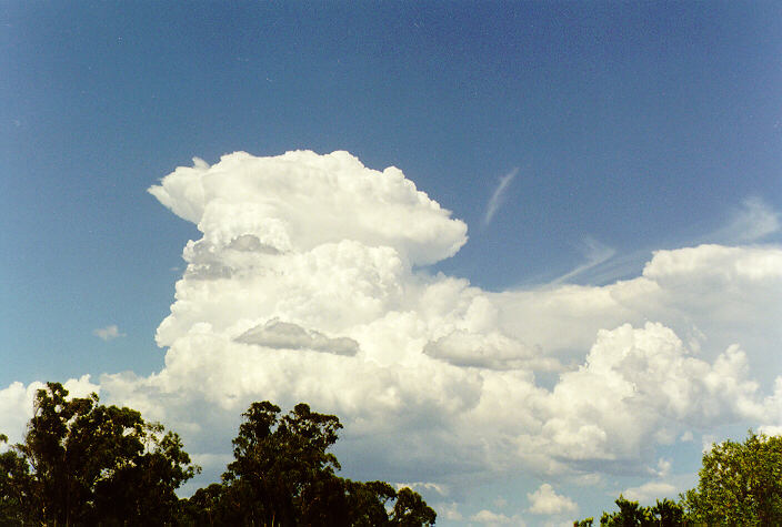 thunderstorm cumulonimbus_calvus : Oakhurst, NSW   21 December 1997