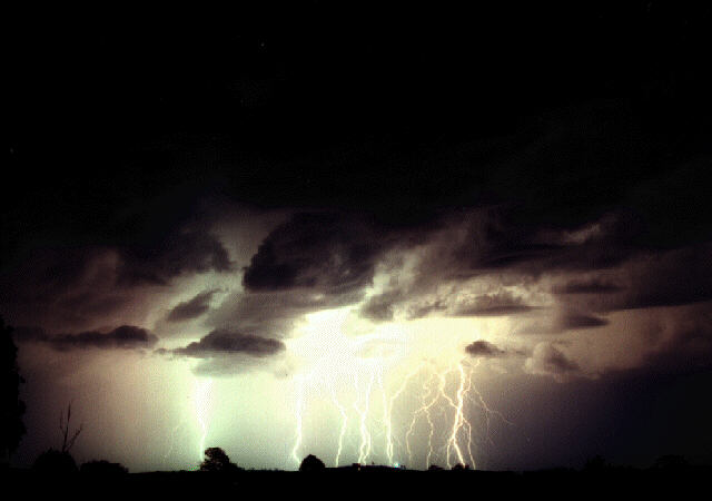 contributions received : near Grafton, NSW<BR>Photo by Steve Baynham   21 December 1997