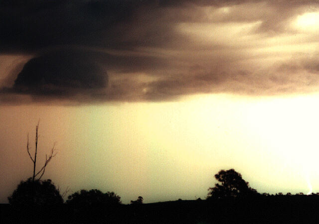 contributions received : near Grafton, NSW<BR>Photo by Steve Baynham   21 December 1997