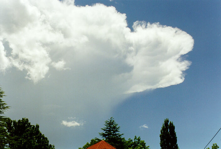 raincascade precipitation_cascade : Tenterfield, NSW   23 December 1997