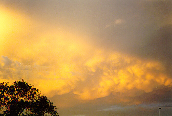 mammatus mammatus_cloud : Ballina, NSW   24 December 1997