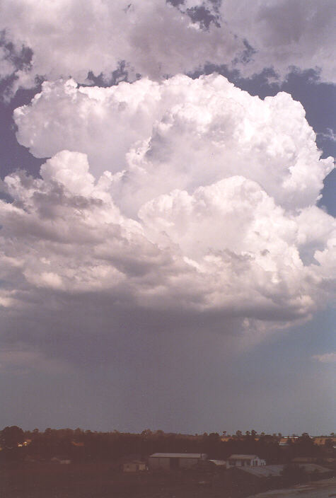 thunderstorm cumulonimbus_calvus : Schofields, NSW   26 December 1997